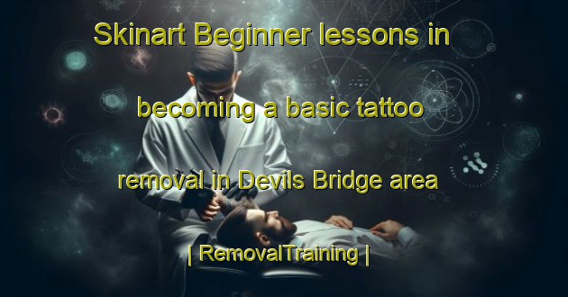 Skinart Beginner lessons in becoming a basic tattoo removal in Devils Bridge area | RemovalTraining | RemovalClasses | SkinartTraining-United Kingdom